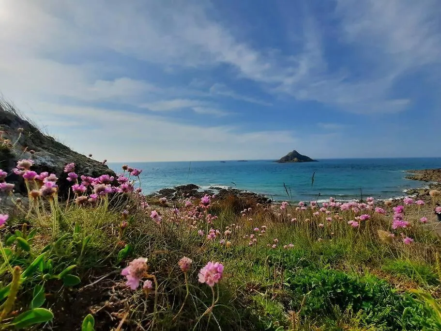 L'Inattendu Saint-Alban  Hébergement de vacances